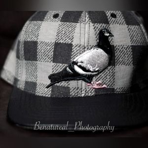 Staple snapback